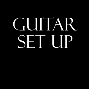 Guitar Set Up Service